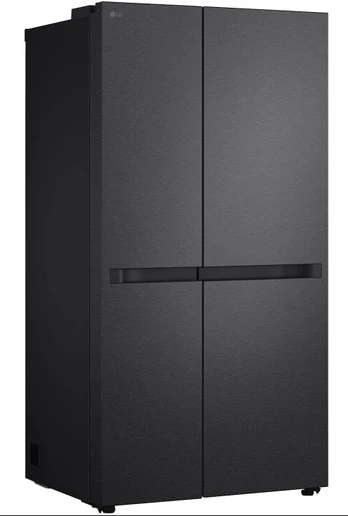 LG Electronics - celest 1100-1.jpg
